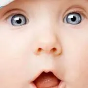 あんこの画像