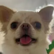 n_の画像