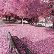 Yu♡プロフをご確認下さい☺︎の画像