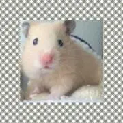 ココナッツ☺︎の画像