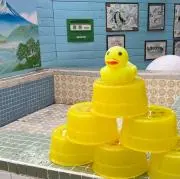 ひよこの画像