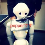 pp