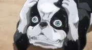 きゃべつの画像