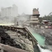 たぬきの画像