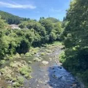 あんちんの画像