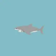 jawsの画像