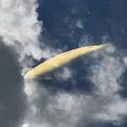 fooeggの画像