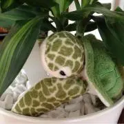 かねごん