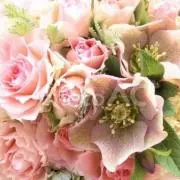 AI0123の画像