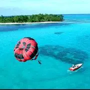 moana1213