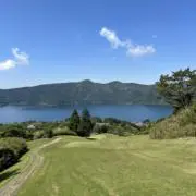れもんの画像