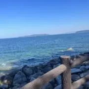 あめ プロフの確認をお願い致しますの画像