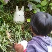 ＊草冠＊プロフ必読