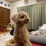 あかね