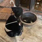 梨