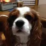 しゅん883の画像