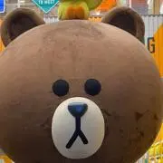Sの画像