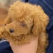 バント職人