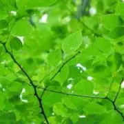 KM【プロフ必読】の画像