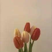 erプロフ必読の画像