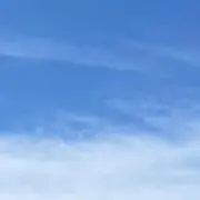 はるの画像