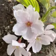 yumit22の画像