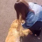 よこ