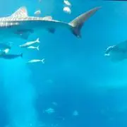 ※プロフィールの確認お願いしますの画像