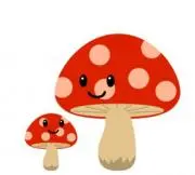 きのこの画像