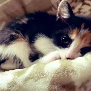 えりんぎ⚠︎︎プロフ必読の画像
