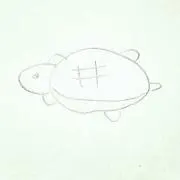 かめさんの画像
