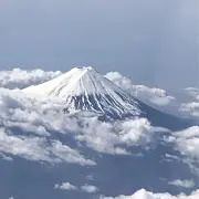 mertoの画像