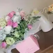 つむの画像