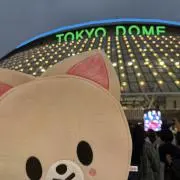 くりーむそーだの画像