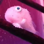 みゆきの画像
