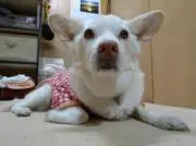 みの