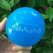 きのこ猫の画像