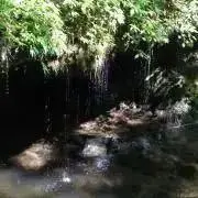 oh dearの画像