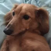みゆつばママ