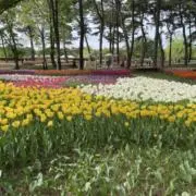 なかじまの画像