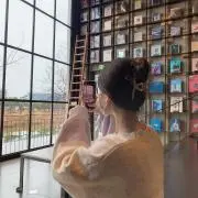 向日葵　(31〜８月15日発送不可)の画像