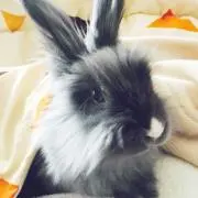 さよ