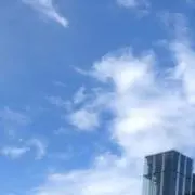 fanfan7744の画像