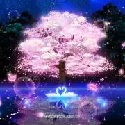 よしくん