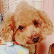なつ