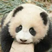 ちゃちゃん☆プロフご確認お願いします