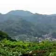 小太郎