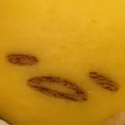 もぐの画像