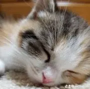 最終値下】エガちゃんねるウォッチ 赤 - メルカリ