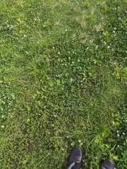 ささきの画像